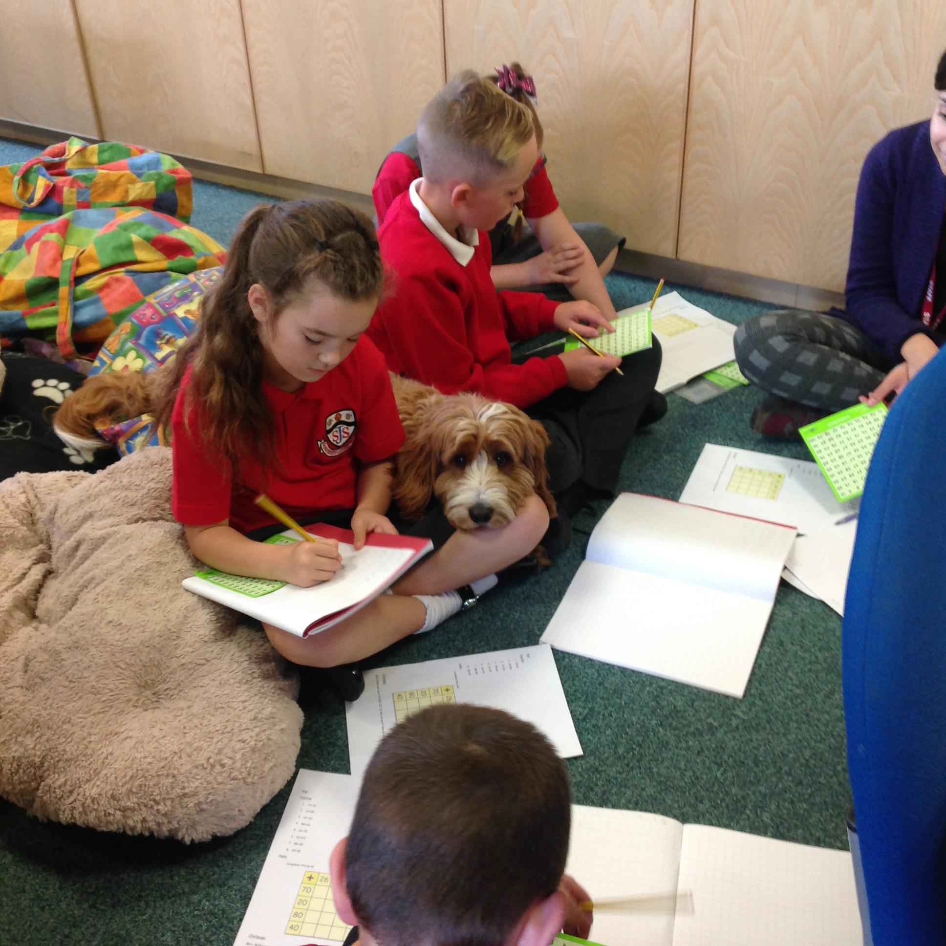 Harry helping with Year 3 work this morning! 